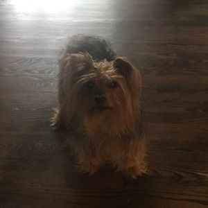 Meet your Posher, Lina